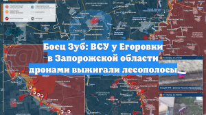 Боец Зуб: ВСУ у Егоровки в Запорожской области дронами выжигали лесополосы
