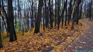 Яша в кафе!🤗🤗🤗