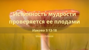 Истинность мудрости проверяется ее плодами | Иакова 3:13-18 | Михаил Лобанов