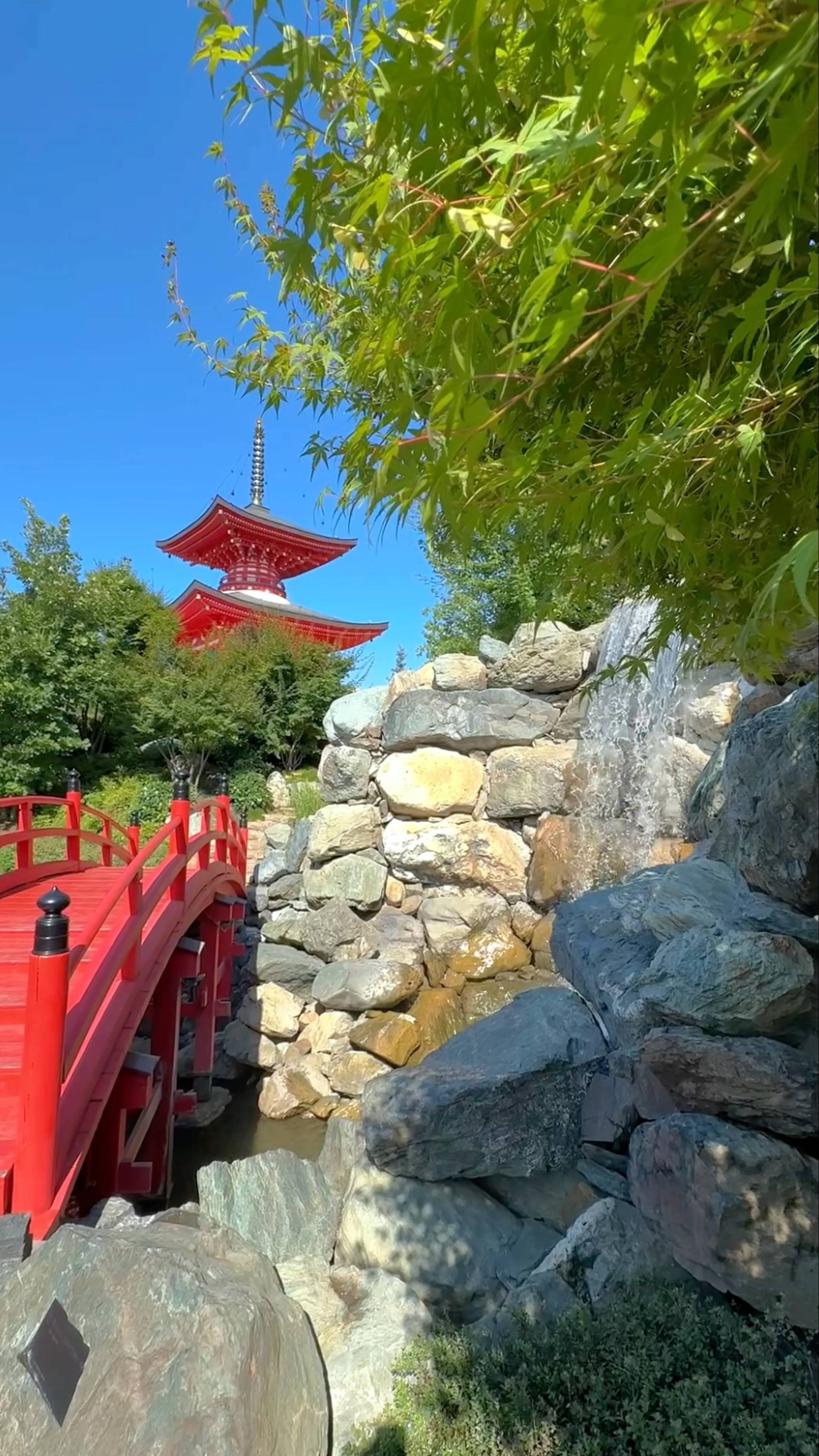 Прогулка по Японскому саду в парке Галицкого в г. Краснодар #japanese #garden #travel #nature"