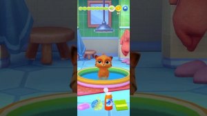 My cat 😺 Басик играет