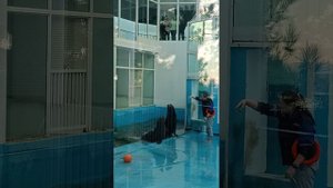 Кормление морских львов