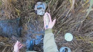 очередной поход на озеро,запасаю живца карасики и ротаны приплыли на вкусную кашу