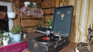 30-10-2025.Проверяю семена томатов на всхожесть.Слушаю потифон.