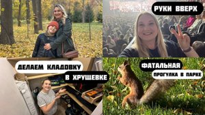 Делаем кладовку в хрущевке. Концерт РУКИ Вверх! Как осенняя прогулка с белками обернулась больницей