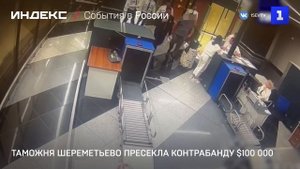 Таможня Шереметьево пресекла контрабанду $100 000