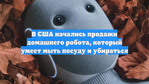 В США начались продажи домашнего робота, который умеет мыть посуду и убираться