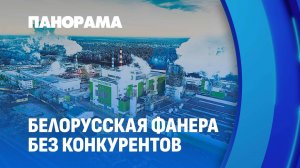 Мостовдрев — прорыв в деревообработке! Инновации и уникальная фанера в Беларуси. Панорама