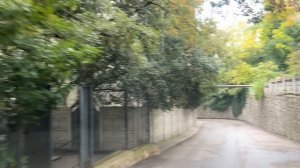 Ялта. По Щербака, от Строителей до Володарского улицами. 24.10.2025. Крым. Crimea. Yalta.