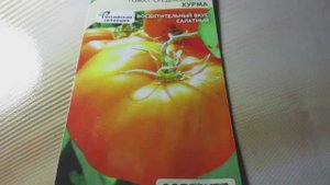 Томат «Хурма» от Садовита: Обзор экзотики на грядке