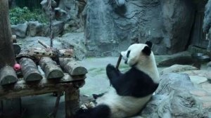 Застыло прошлое