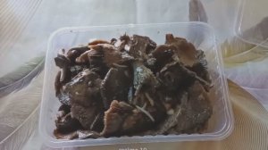 Уникальная трёхдневная засолка рыжиков: Мой проверенный метод сухого посола