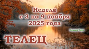 ТЕЛЕЦ | ТАРО прогноз на неделю с 3 по 9 ноября 2025 года
