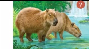 А4 ВСТРЕТИЛ