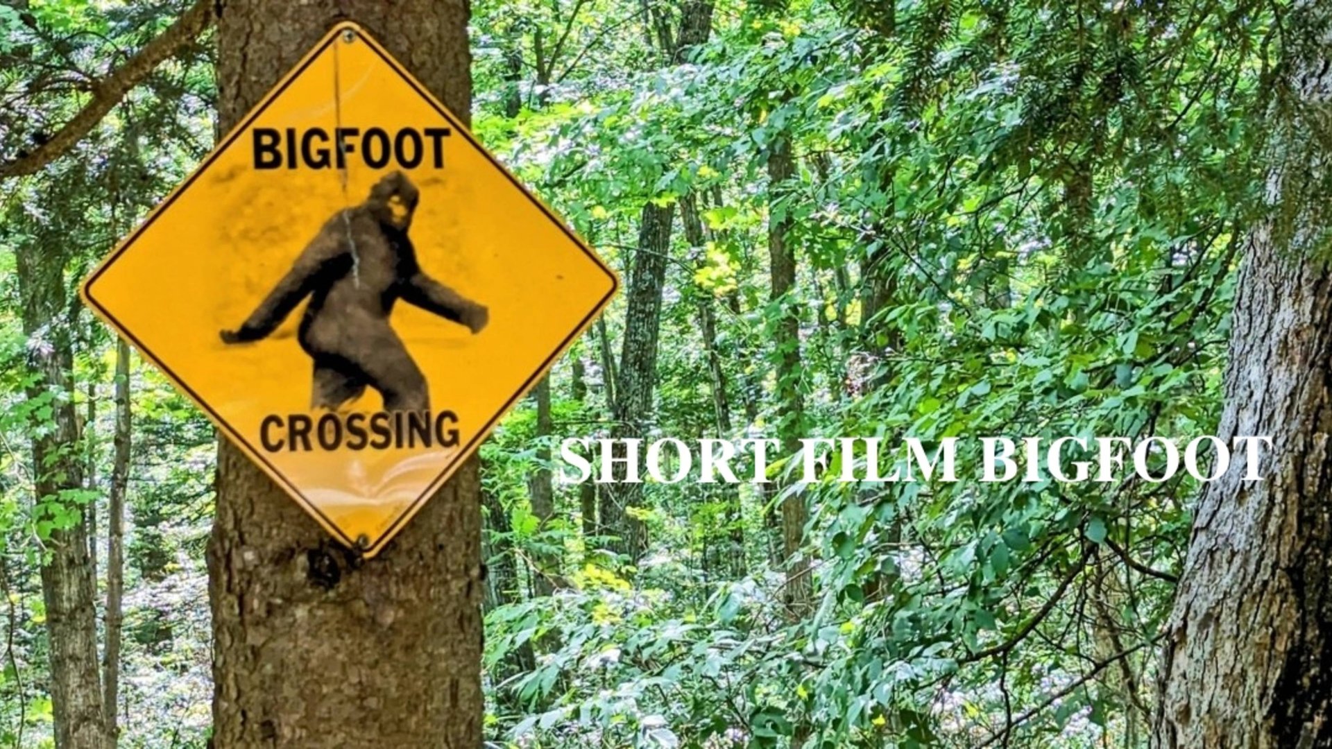 КОРОТКОМЕТРАЖНЫЙ ФИЛЬМ "БИГФУТ" |𝐒𝐇𝐎𝐑𝐓 𝐅𝐈𝐋𝐌 𝐁𝐈𝐆𝐅𝐎𝐎𝐓 😎✋