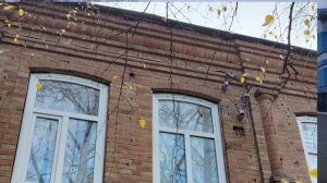 В окружении лип и берез