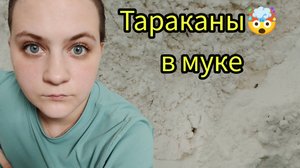 Хозяйка не путевая в муке тараканы , влог мой вечер