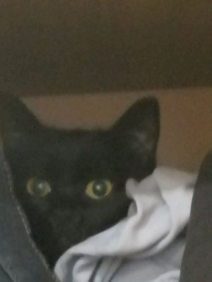 играем в пыльную поездку