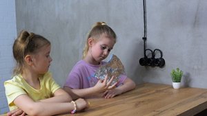 RnD-29s-Ограбление века-V2