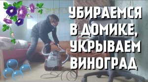Убираемся в дачном домике и укрываем виноград на зиму.