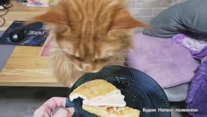 Какой глубины лужы осенью? Что купила в Чижике.Готовим полуфабрикат.Озон подвел с доставкой