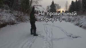 Не правильный хариус