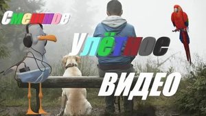 Смешное видео люди #юмор