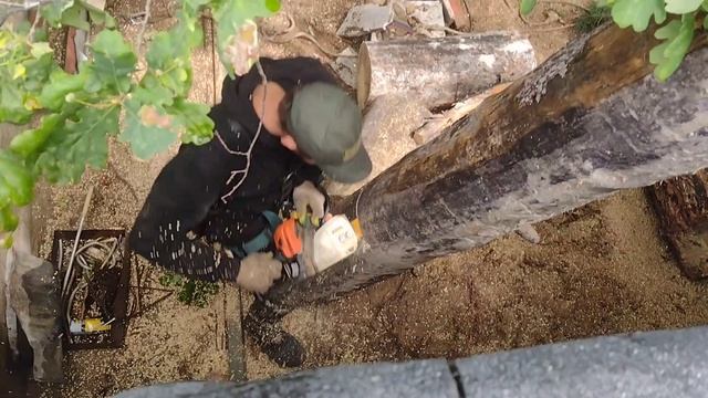 11. Мой гараж "Мечта мужика." 
Спил аварийного дерева на заднем дворе гаража. смотреть онлайн