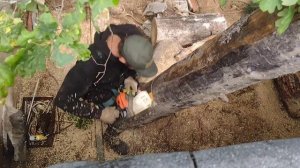 11. Мой гараж "Мечта мужика." 
Спил аварийного дерева на заднем дворе гаража.