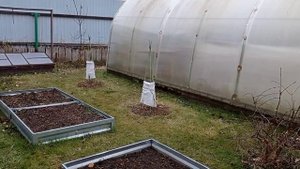 жизнь на Крайнем Севере/А у нас во дворе.... что то явно не так