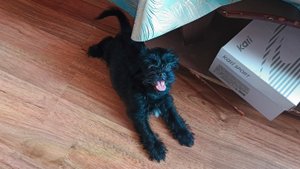 Доброе утро) Завтрак и к врачу.