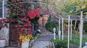 Песенная Медитация на Чайном Дворике 🎼🎧🎻🔥30.10.2025