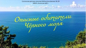 Опасные обитатели Чёрного моря