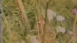 Бартонбергер против злодеев rosenrpot клип 2025 года