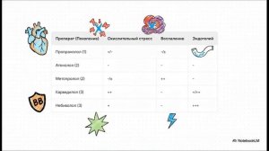 За гранью ритма: кардиопротективные механизмы бета-блокаторов при ишемии и реперфузии миокарда