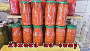 ❤️АДЖИКА НА ЗИМУ ‼️26.08.25