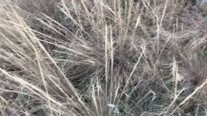 София приобщается к тихой охоте. Бабушка плохому не научит!😁😁😁30-10-2025