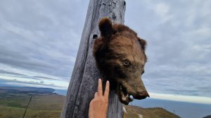 #Аукан_Нерпичий_Сюркум_на_Машине