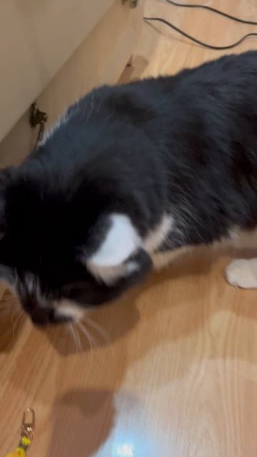 Предупреждаю!!!!