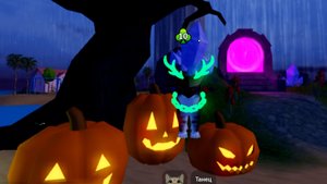 НОВОЕ ОБНОВЛЕНИЕ В ИГРЕ С КОТЯТАМИ!