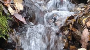 осознай кто ты