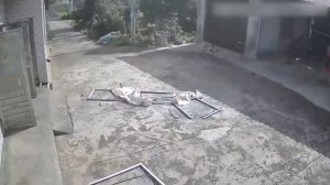 Уличные неприятности