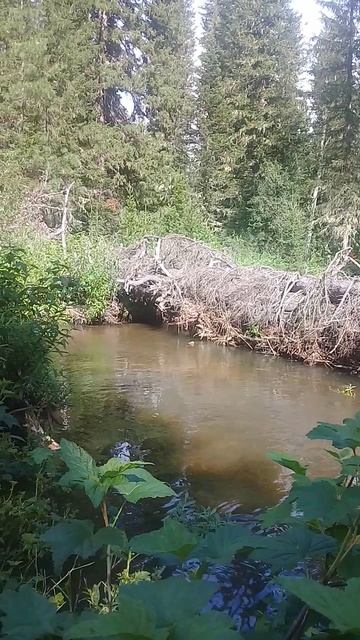 Кругом завалы, ноги забились.