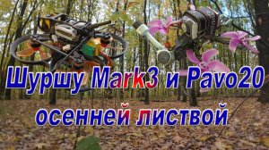 Шуршу Mark3 и Pavo20 осенней листвой