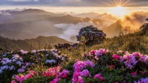 БОГ ДАРУЕТ РАДОСТЬ, ИИСУС ДАРУЕТ РАДОСТЬ! Эльдар и Пастор Нурлан Бекмурзаевы