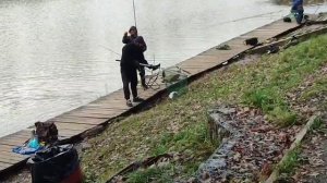 Поимка на резину