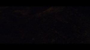 Мы идём гулять с собакой! | 11-авг-2024