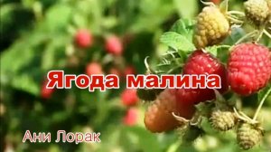 Ани Лорак - Ягода малина