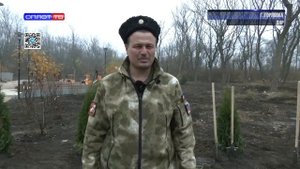 Аллея единства расцветает в Горловке: туи и можжевельник украсили парк Горького