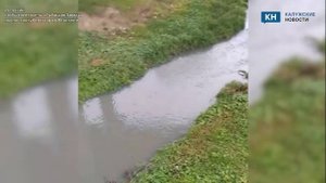 Река Медынка превратилась в сточную канаву в Калужской области